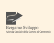 bergamo sviluppo